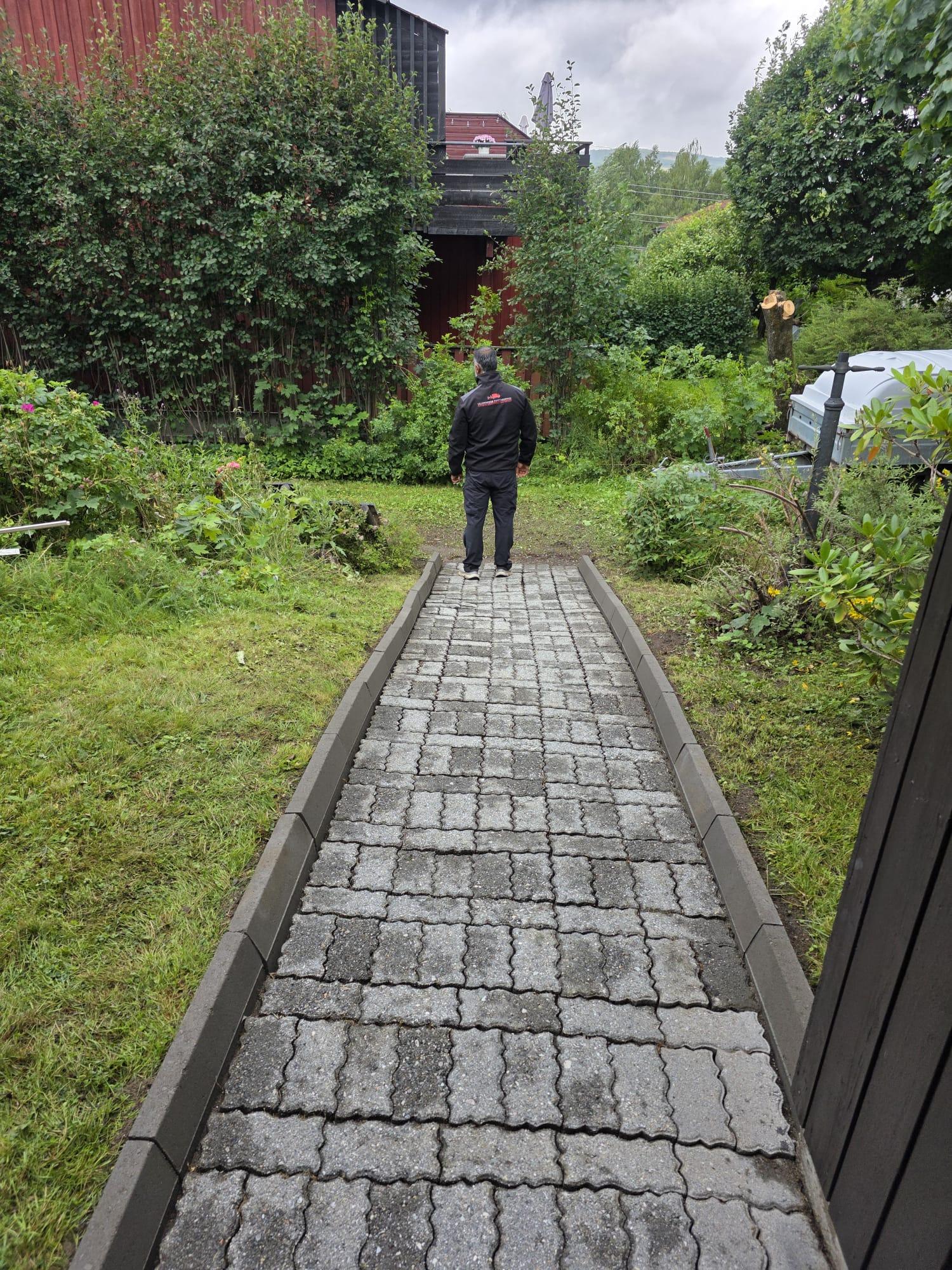 En person står på en brosteinsbelagt sti som fører gjennom en hage med busker og trær.