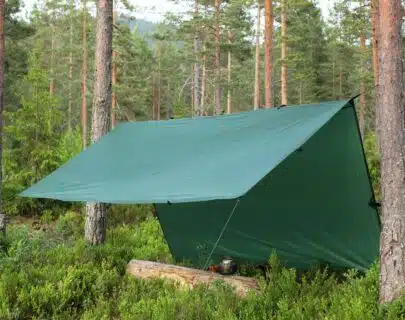 Grønt telt plassert mellom trær i en skog, med en vedstokk og en gryte under taket.