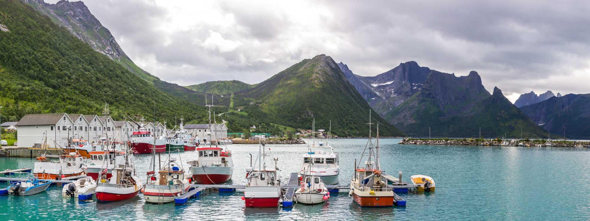 Fiskebåter ligger til kai i en vakker havn omgitt av fjell og grønn natur.