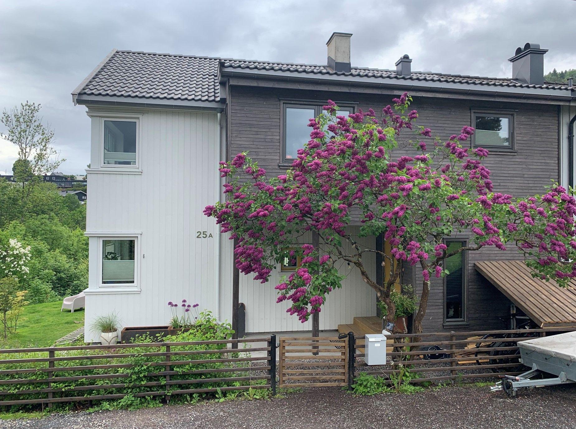 Moderne hus med blomstrende busker foran, plassert i et grønt område med grå himmel.