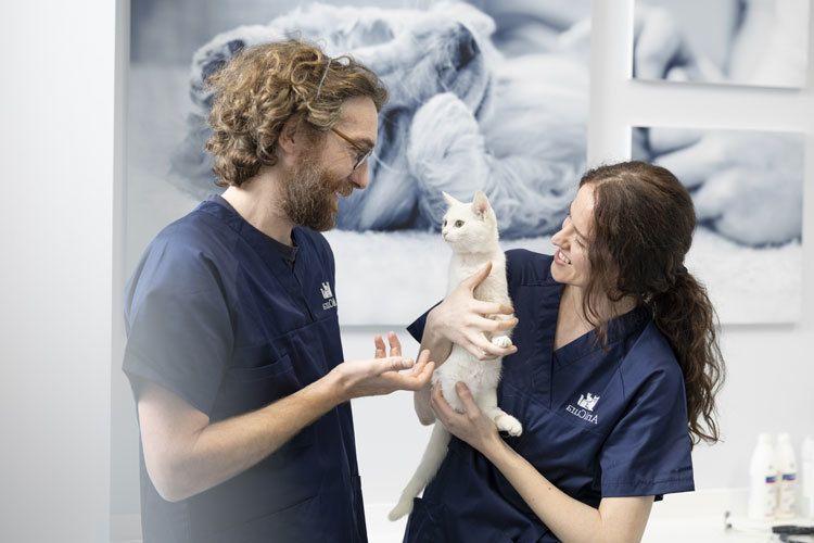 To veterinærer smiler mens de holder en hvit katt i et moderne dyreklinikkmiljø.