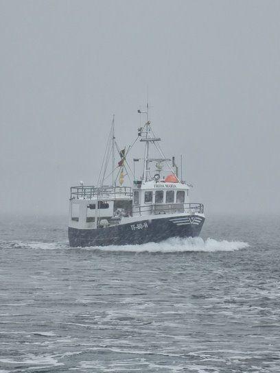 Fiskebåt som seiler gjennom tåke på havet, med bølger som spruter rundt skroget.