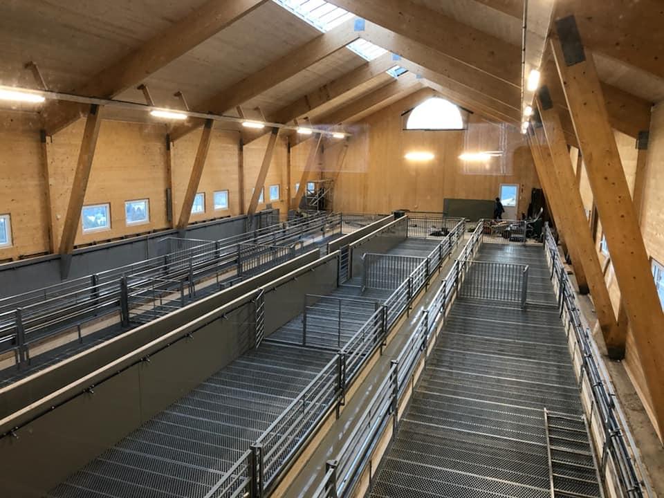 En stor, moderne stall med trevegger og mange hestebokser, belyst av naturlig lys fra takvinduer.