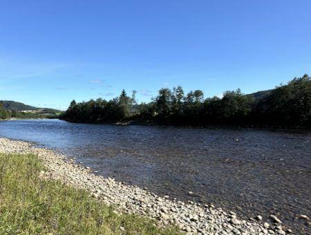 En elv som renner gjennom et naturskjønt landskap med trær langs bredden og en klar blå himmel.