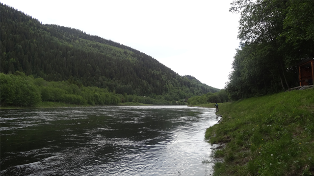 En elv som renner langs en grønnkledd bredd, omkranset av fjell og trær i bakgrunnen.