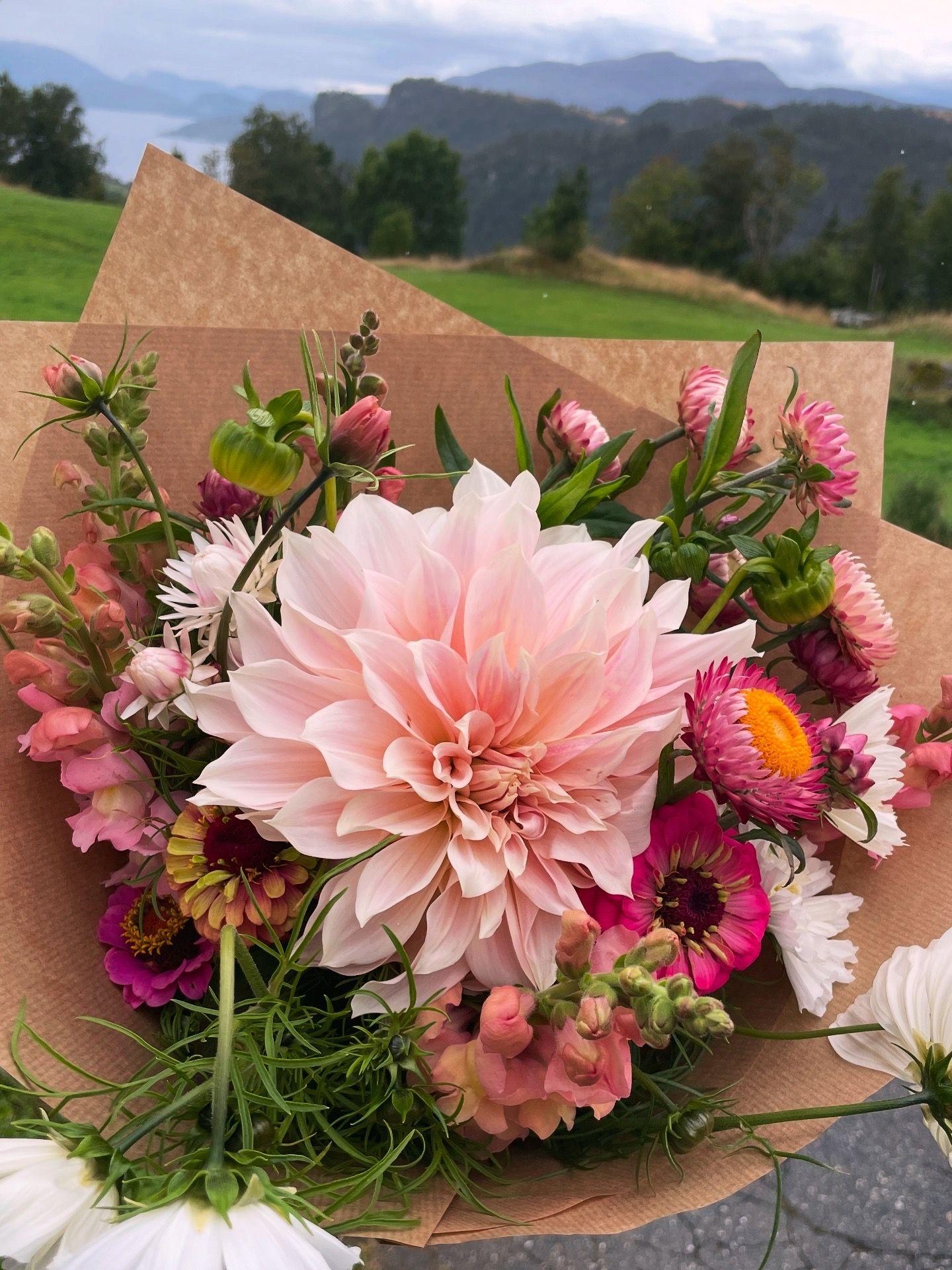 En bukett med lyserosa og fargerike blomster, inkludert dahlia, i papirinnpakning med en vakker landskapsbakgrunn.