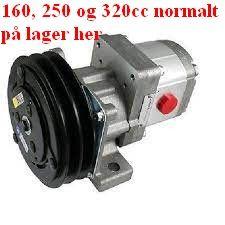 Bilde av en motorpumpe med spesifikasjoner for 160, 250 og 320cc tilgjengelig på lager.