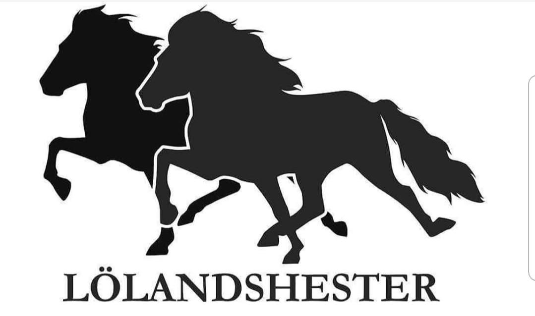 Løland Islandshestgård / Lølandshester