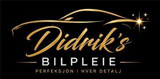 Didrik Paulsen Bilpleie