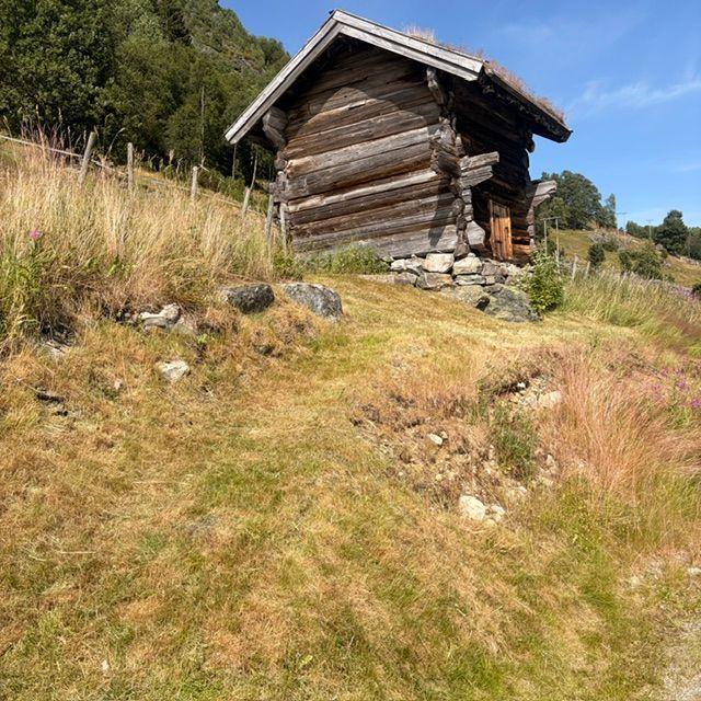 En gammel tømmerhytte med torvtak, omringet av grønt gress og steiner i et naturskjønt landskap.