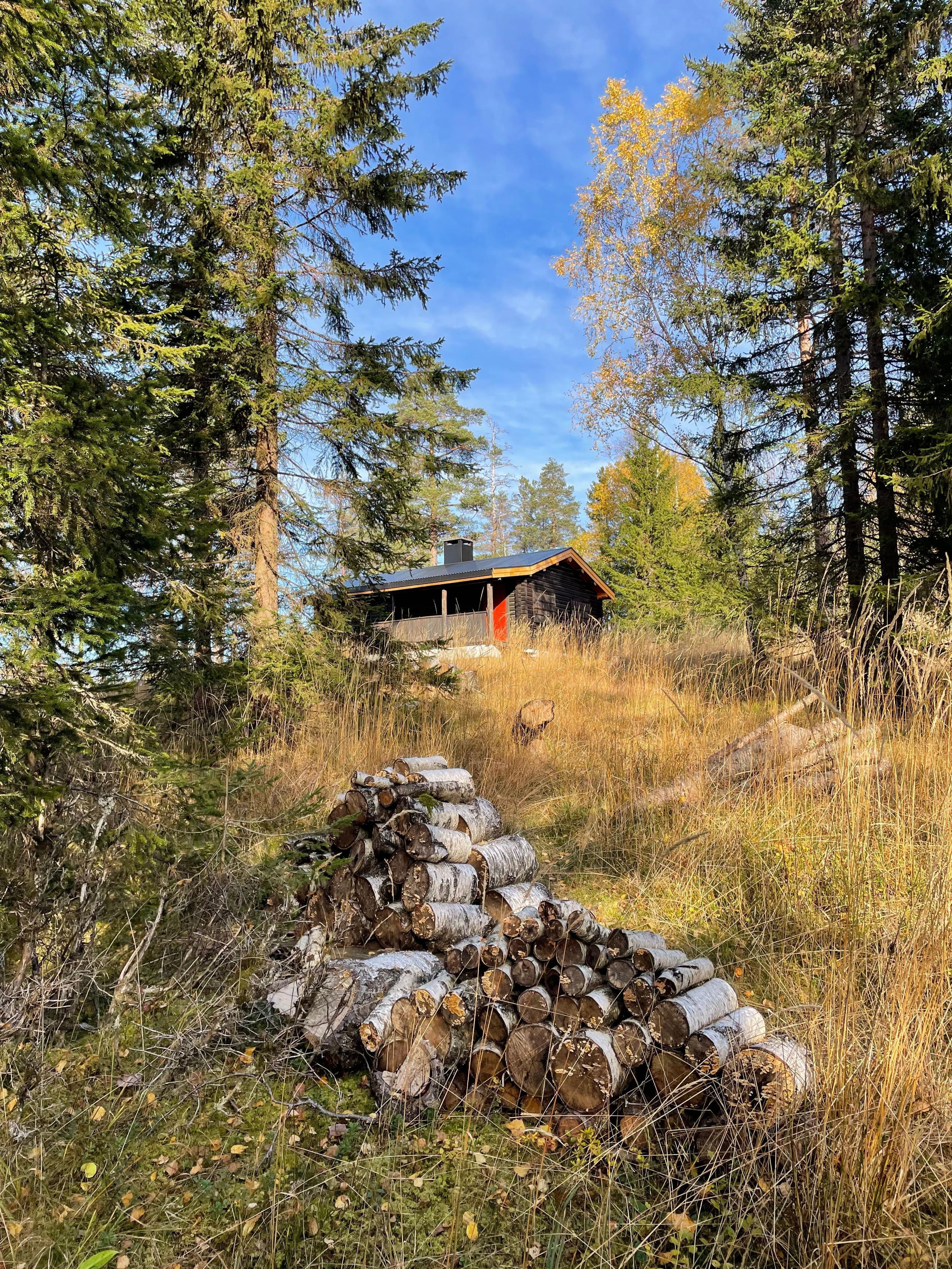 Hytte omringet av trær og høyt gress, med en stabel ved i forgrunnen under en klar høsthimmel.