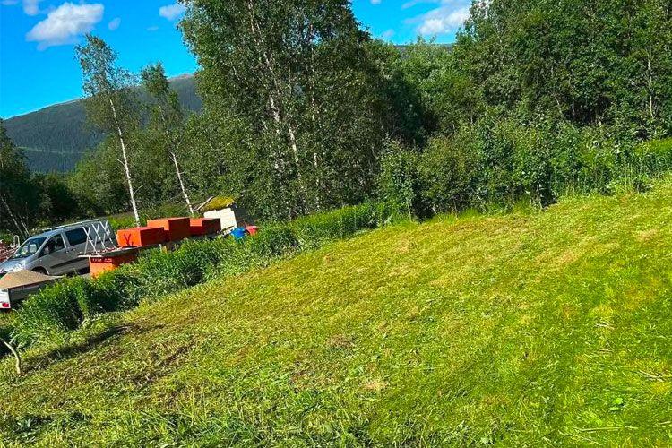 Grønt gressområde med trær og en bil i bakgrunnen, under en blå himmel med skyer.