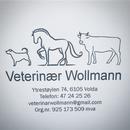 Veterinær Wollmann AS
