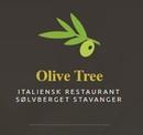 Olive Tree Stavanger AS