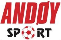 Andøy Sport AS logo