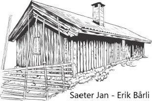 Saeter Jan Erik Bårli logo