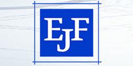 Siv. ing. Erling F. Johnsen AS logo