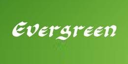 Evergreen Bautista