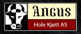 Hole Kjøtt AS logo