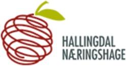 Hallingdal Næringshage AS logo