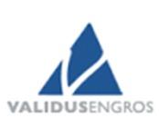 Validus Engros AS logo