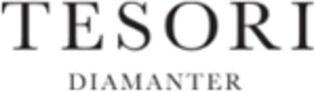 Tesori Diamanter logo