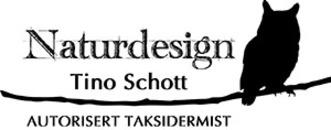 Tino Schott logo