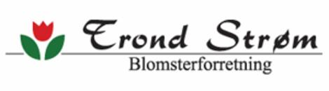 Trond Strøm Blomsterforretning Avd. Rørvik logo