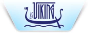 Viking International Transport og Spedition AS logo