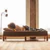 Sovesofa/daybed