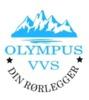 Olympus VVS AS
