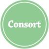 Consort AS