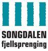 Songdalen Fjellsprenging AS