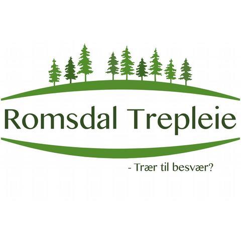 Romsdal Trepleie AS logo