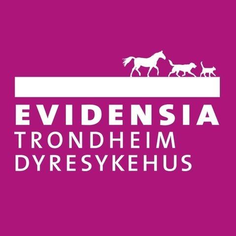 Evidensia Trondheim Dyresykehus logo