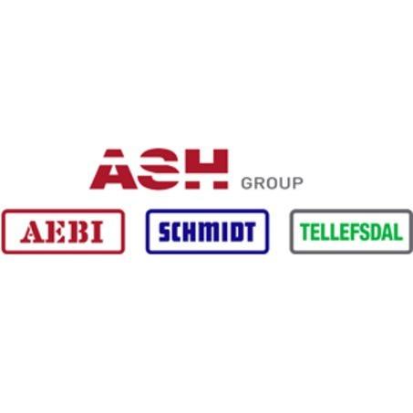 Aebi Schmidt Norge AS logo