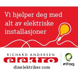 Richard Andersen Elektro AS logo