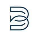 Bluewild AS logo