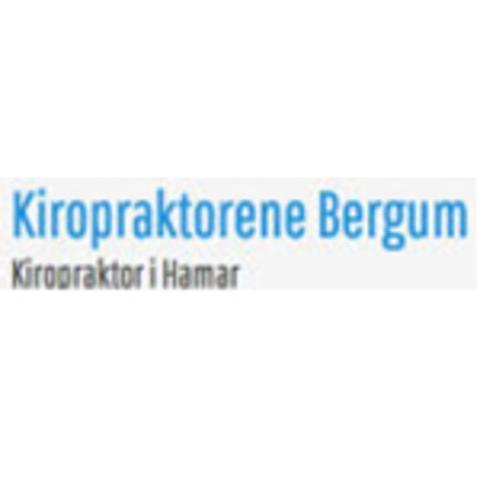 Kiropraktor Bergum logo